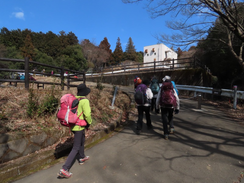 日和田山、物見山